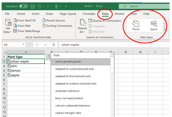 Is it really safe to store my passwords in Excel?