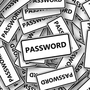 What are the benefits of using a password application?